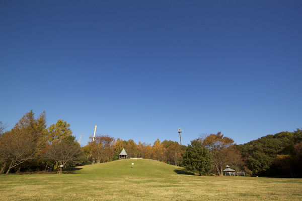 e0044635_0172697.jpg