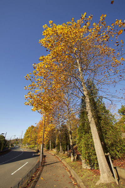 e0044635_0192540.jpg