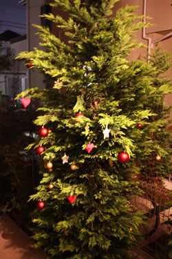 f0182239_21254526.jpg
