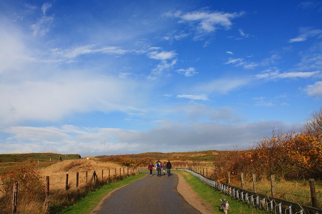 c0153740_3274389.jpg