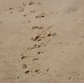 c0153740_3361041.jpg