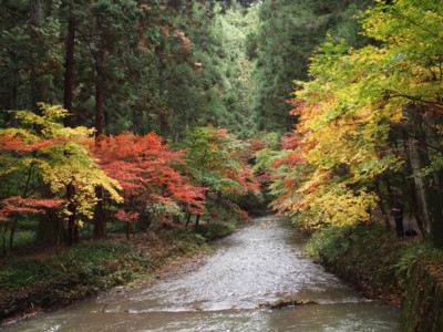 c0119142_5554627.jpg