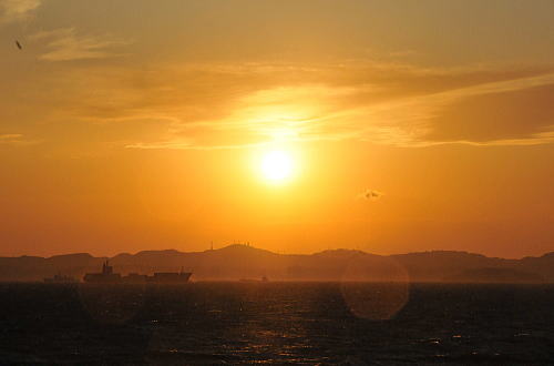 f0094843_0484739.jpg