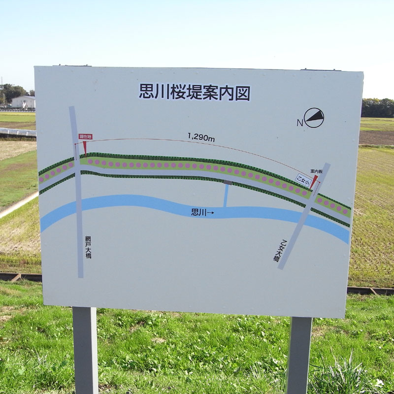 f0184244_652325.jpg