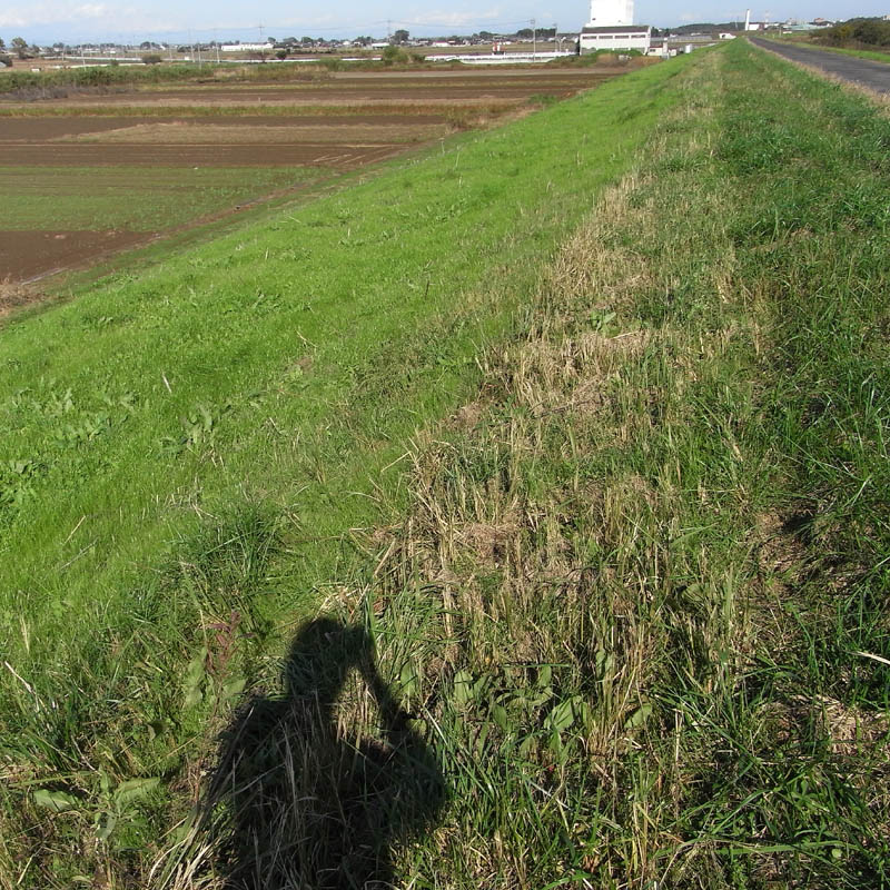 f0184244_69522.jpg