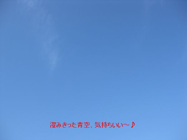 b0148945_029915.jpg