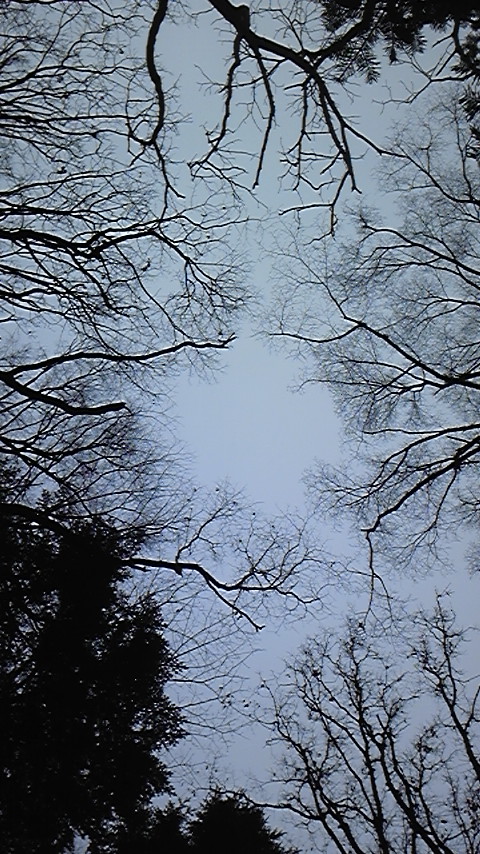 b0139547_2252736.jpg