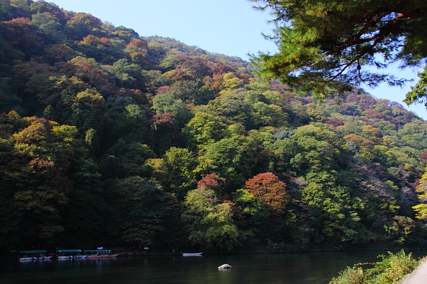 a0024250_043348.jpg