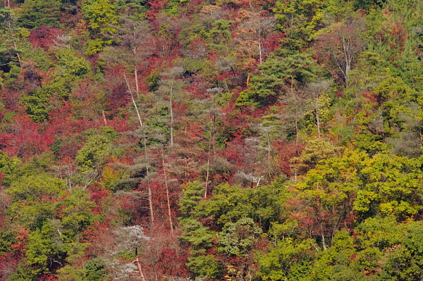a0024250_044373.jpg