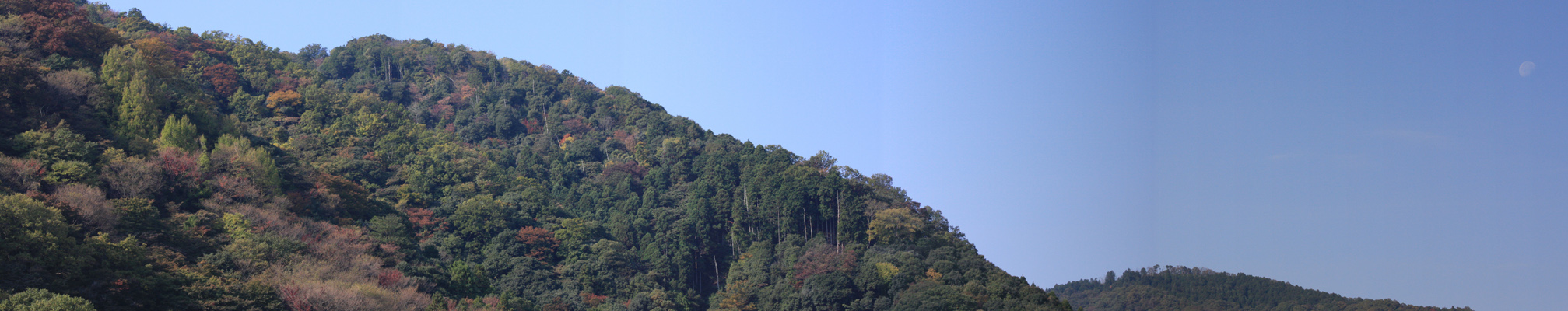 a0024250_0475376.jpg