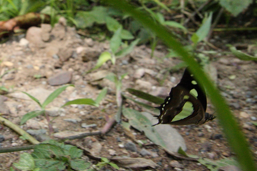 a0094850_21195131.jpg