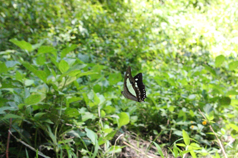 a0094850_2120890.jpg
