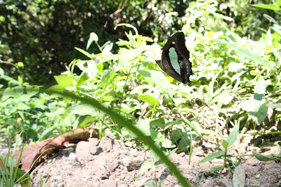 a0094850_2121296.jpg