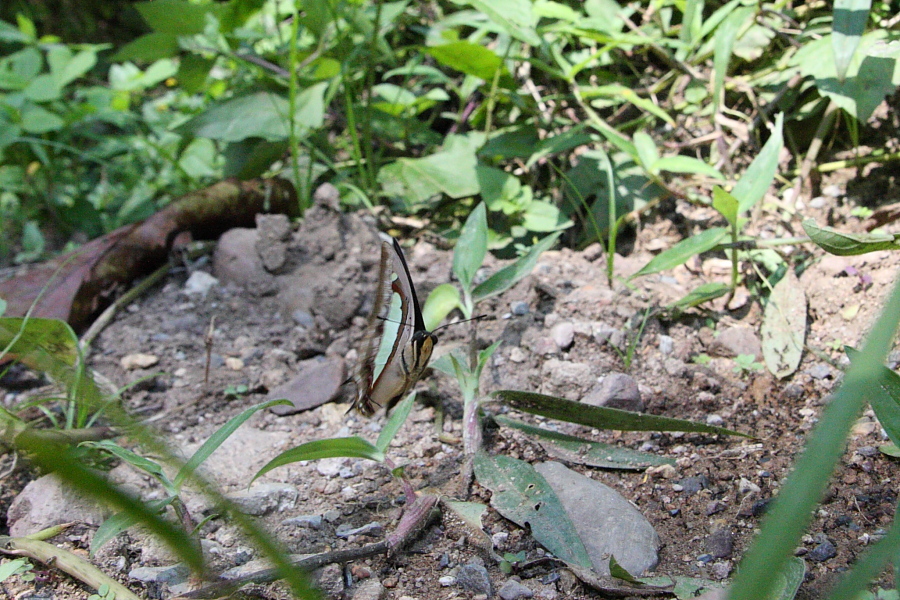 a0094850_21213629.jpg