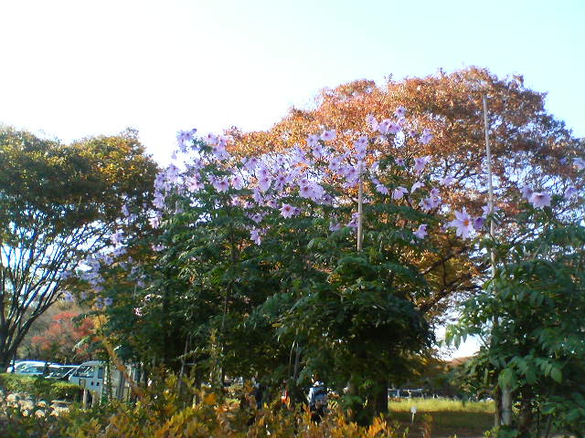 d0124952_16334529.jpg
