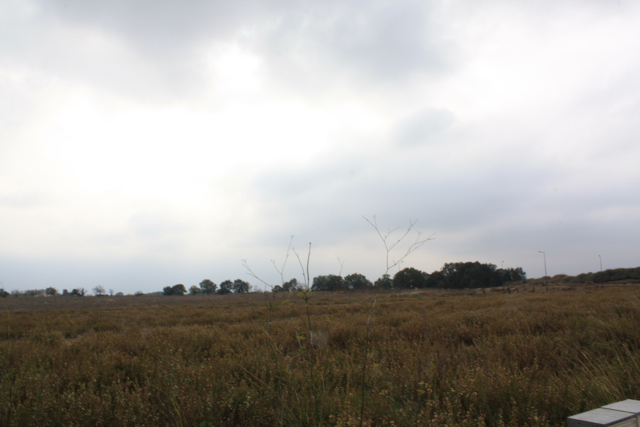 f0204358_7241221.jpg