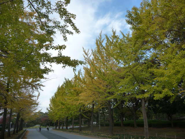 c0167359_9323724.jpg