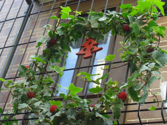 c0169360_16294796.jpg