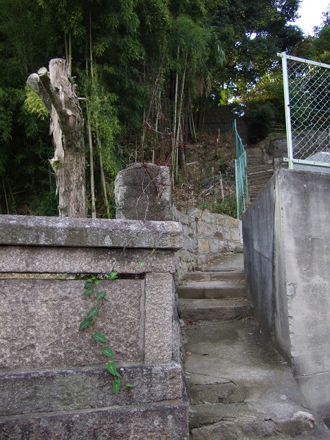 b0095061_12311440.jpg