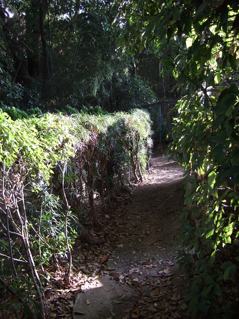 b0095061_1235645.jpg