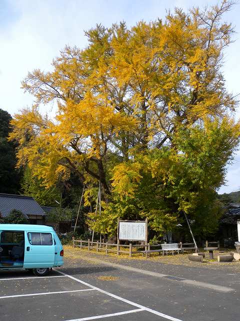 b0104861_22592896.jpg