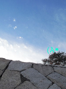 a0063963_19385538.jpg