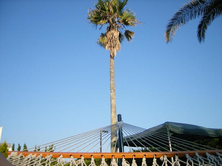 c0180963_1473383.jpg