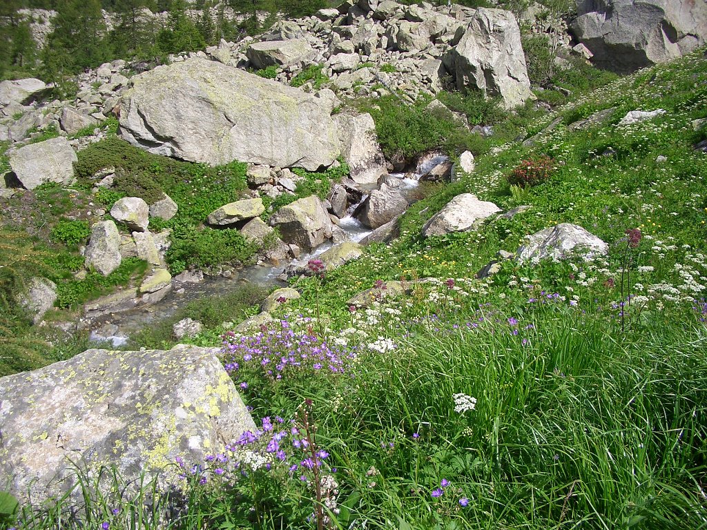 c0226163_3292586.jpg