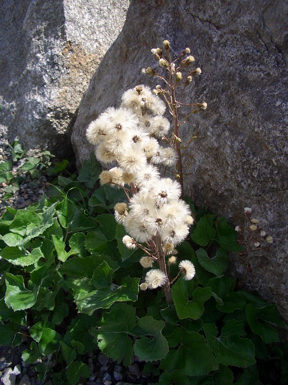 c0226163_3303287.jpg