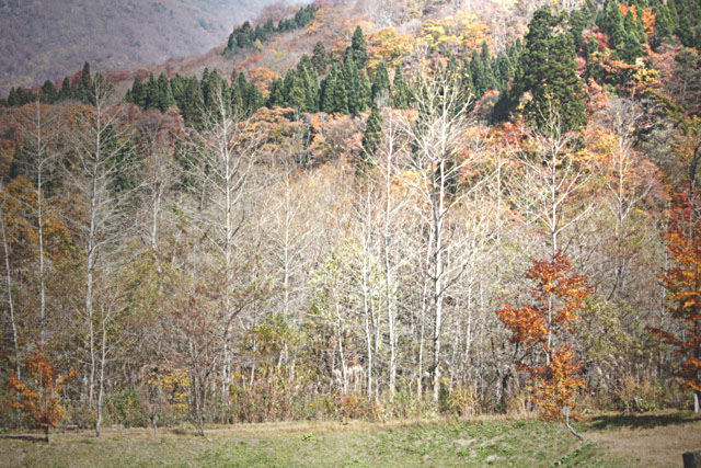 c0183164_2220153.jpg