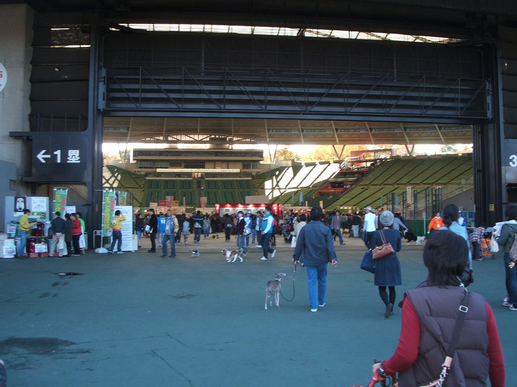 e0125264_18541843.jpg