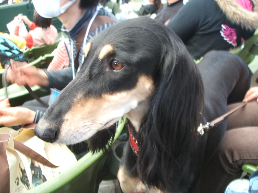 e0125264_18594531.jpg