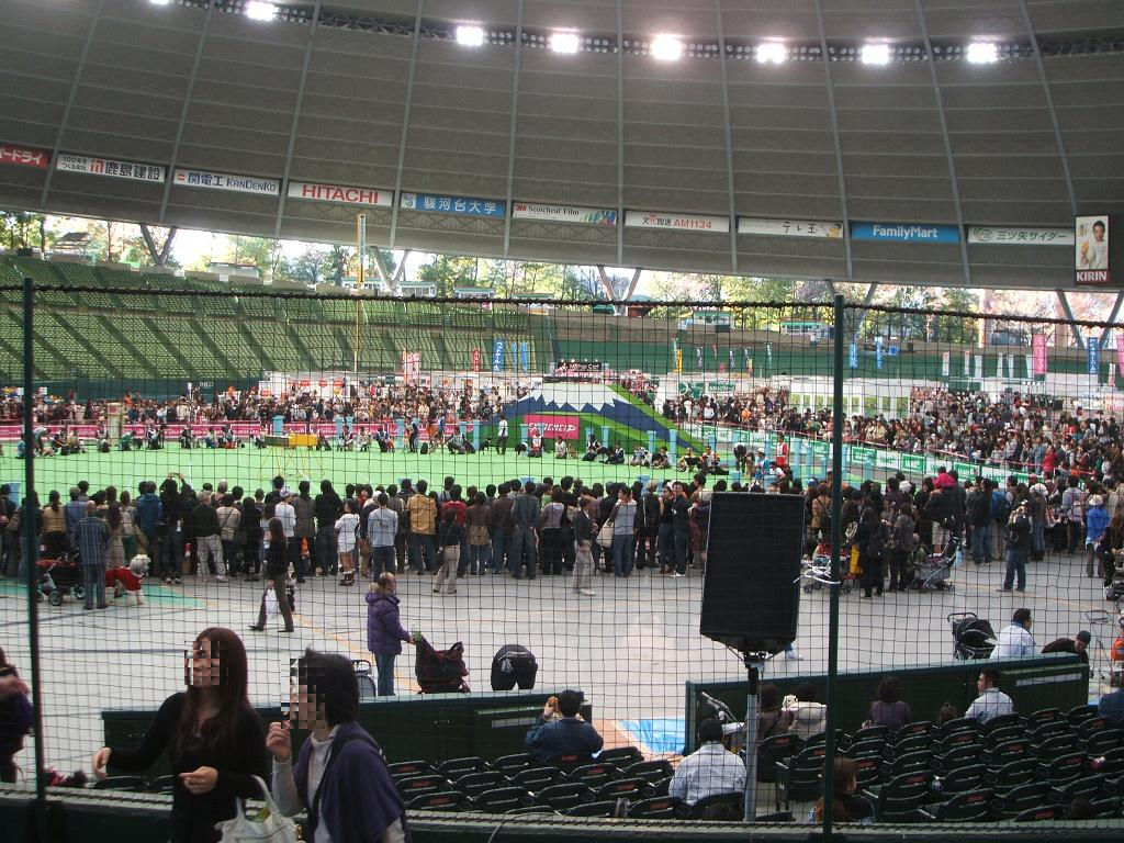 e0125264_1995279.jpg