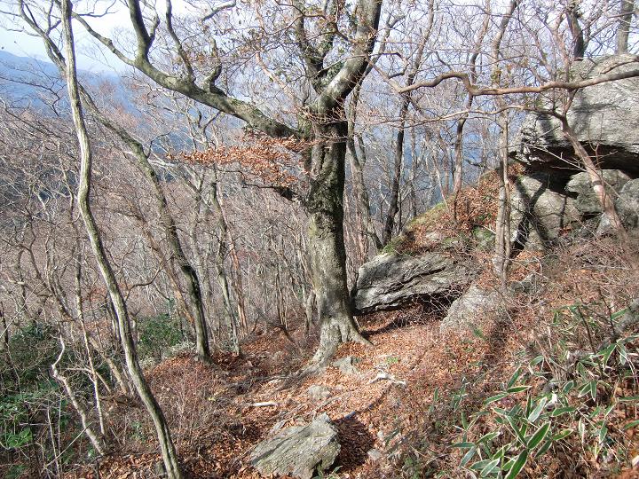 f0016066_651897.jpg