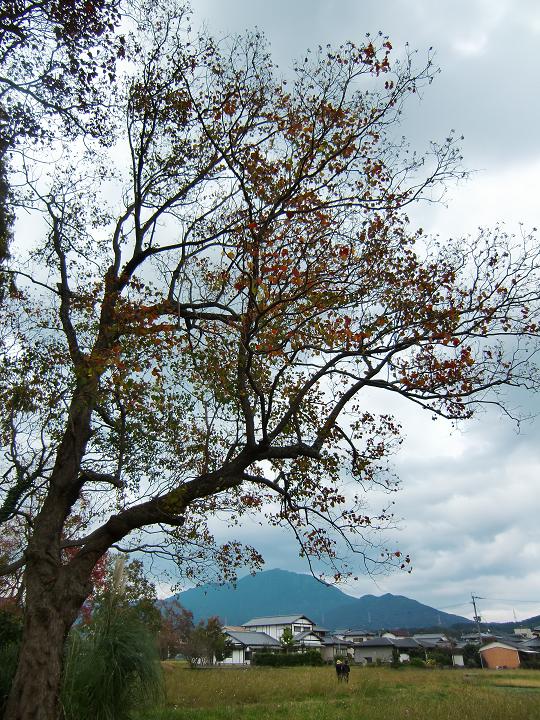 f0016066_7175483.jpg