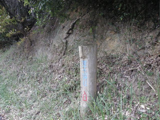 c0042869_21314929.jpg