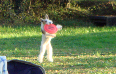 b0091373_148521.jpg