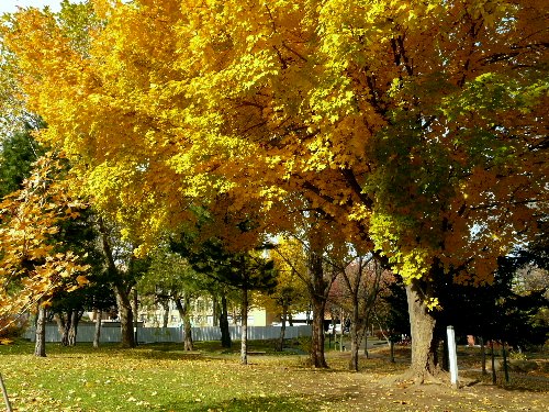 d0084473_221501.jpg