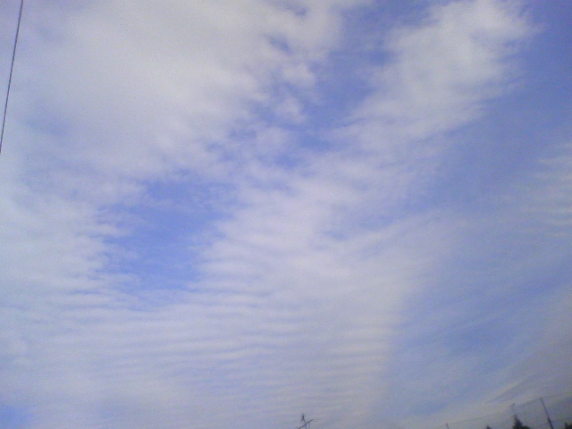 f0123373_1753230.jpg