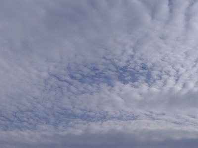 a0142083_21514279.jpg