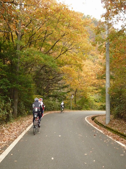a0118289_88171.jpg