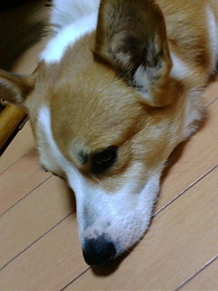 f0200795_21202190.jpg