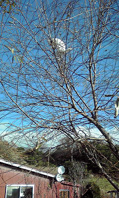 c0206596_2123244.jpg