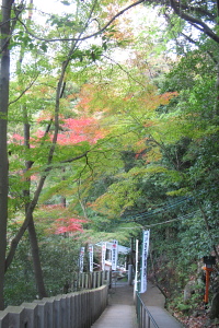 f0103797_17121433.jpg