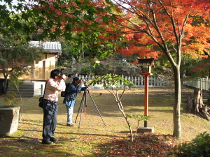 f0103797_17185114.jpg