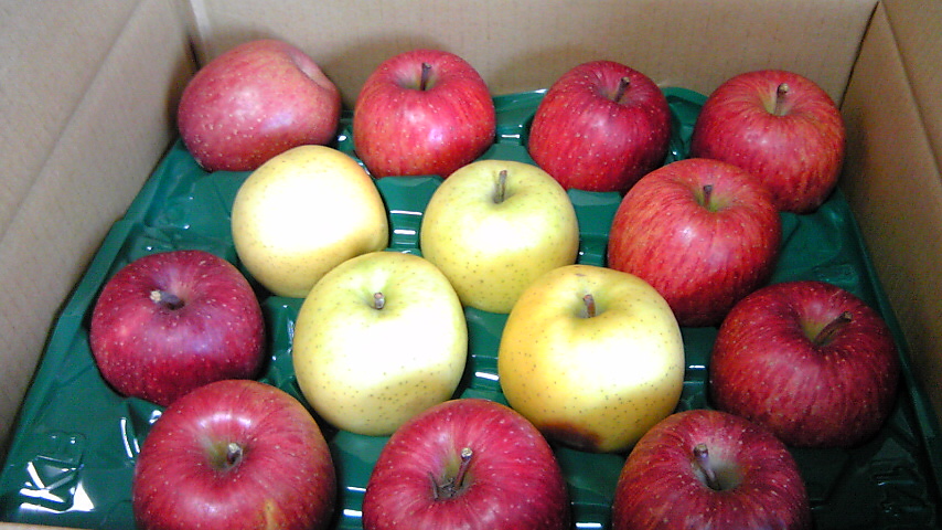 f0058098_1339155.jpg