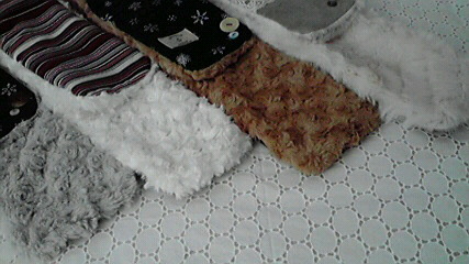 c0198499_1563684.jpg