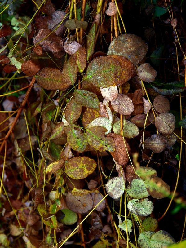 b0138101_2314215.jpg