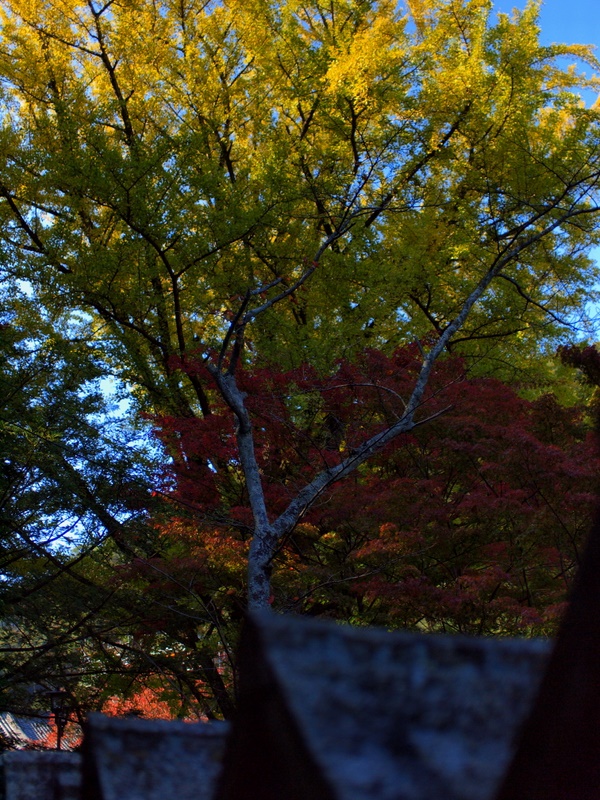 b0138101_23175651.jpg