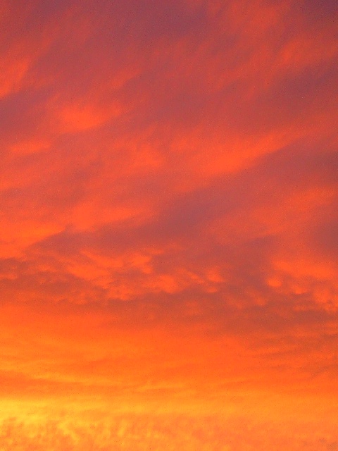 b0083902_14214494.jpg